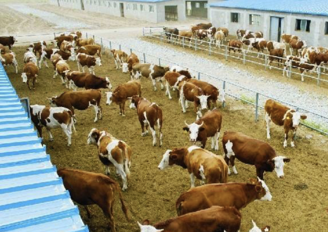 20181203143576707670