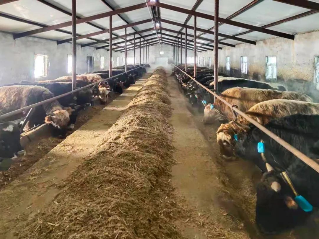 20210713170442264226